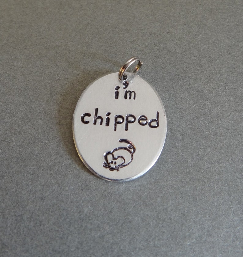 Dog Tag Cat Tag Aluminum Dog Tag Small Cat Tag Small Oval Hand Stamped Pet Tag Custom Pet Tag I/'m Chipped