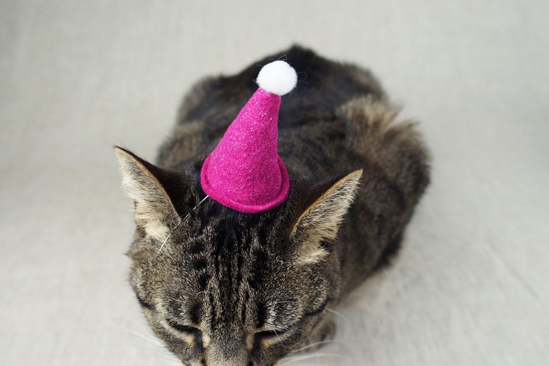 Mini Party Hat for Cats Etsy