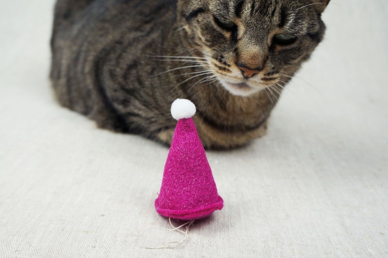 Mini Party Hat for Cats Etsy