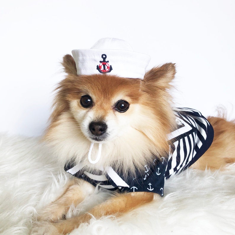 Dogs sailor hat Cape Set HANDMADE dog hats dog caps marine Etsy