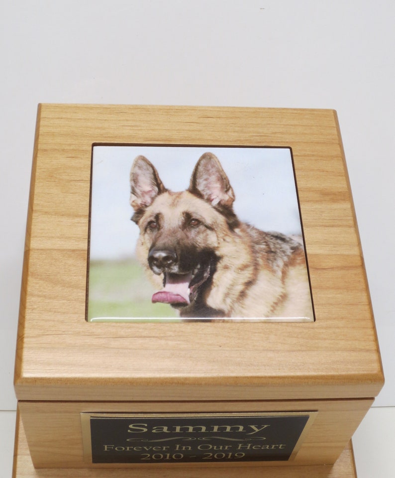 Dog Photo Urn Pet Memorial Keepsake Cremation Urn Custom Photo Tile /& Personalized Tag Beautiful Red Alder Wood Urn Large Dog Urn to 100lb
