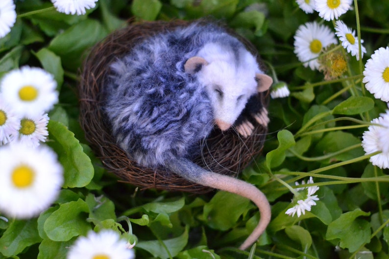 realistic stuffed opossum