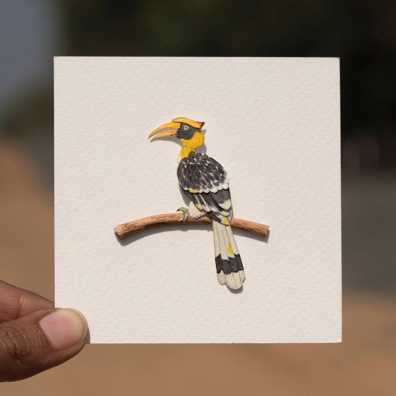 Hornbill sound name image