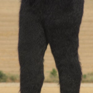 black fuzzy pants