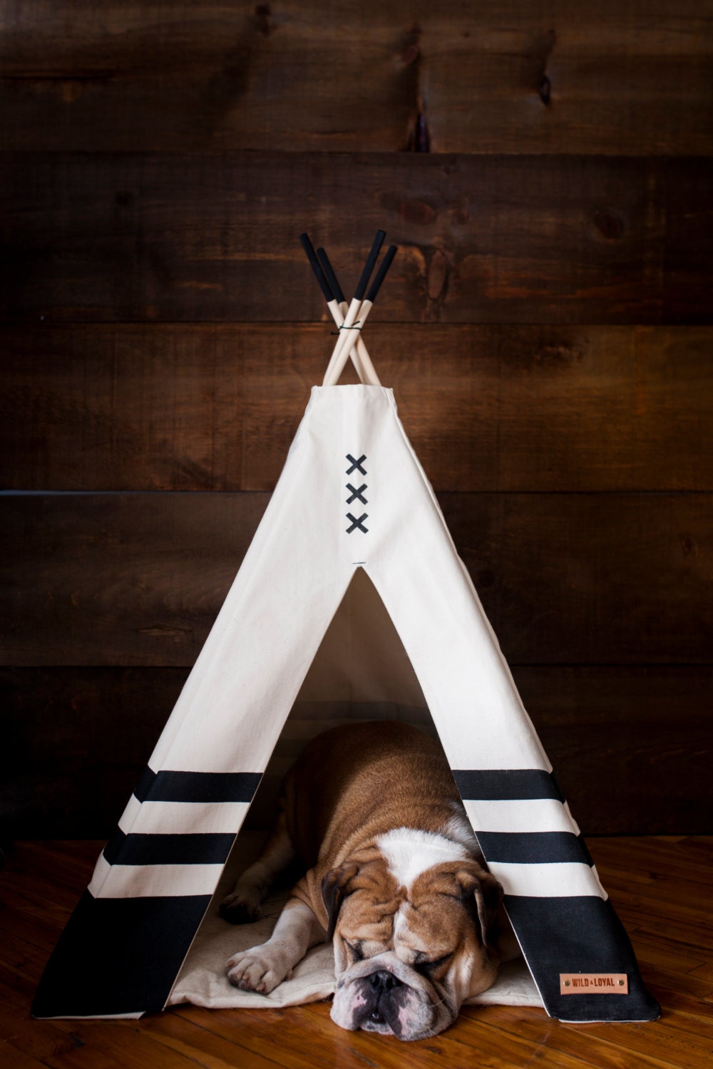 Pet Teepee 29x29 Etsy
