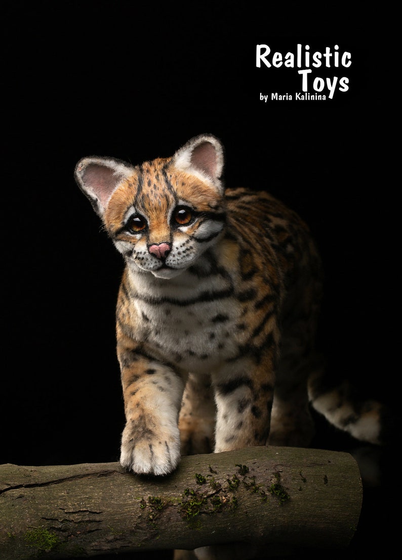 Margay wild catnamed babe Sugarland Realistic/Lifesize Etsy