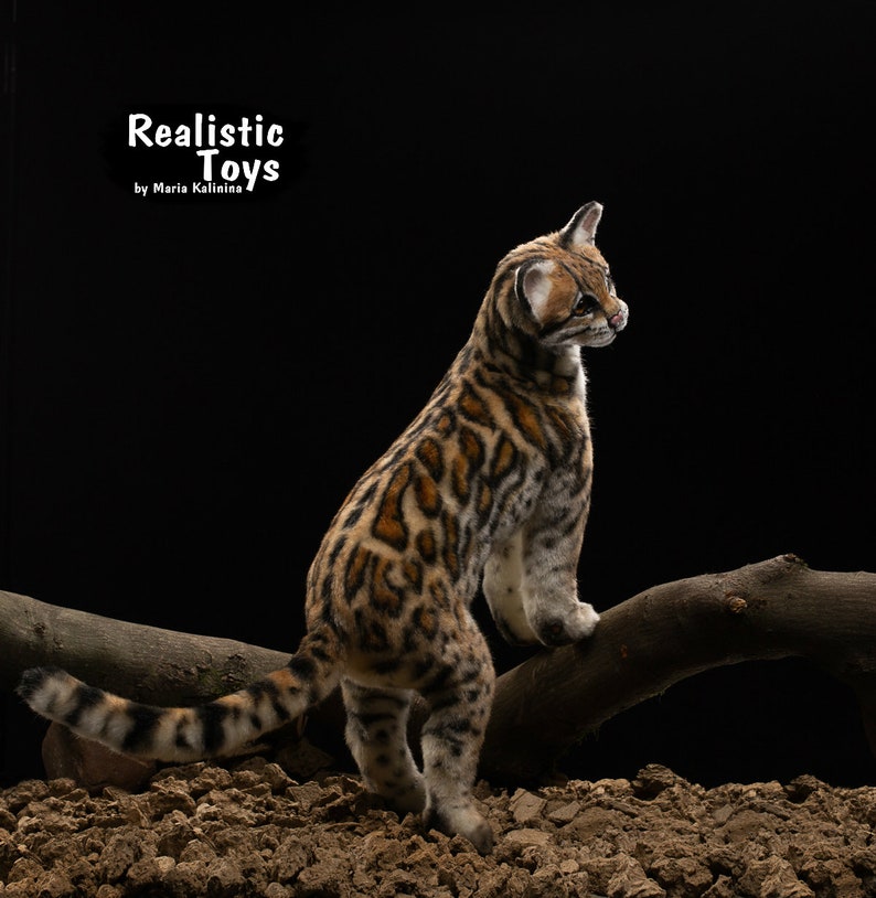 Margay wild catnamed babe Sugarland Realistic/Lifesize Etsy