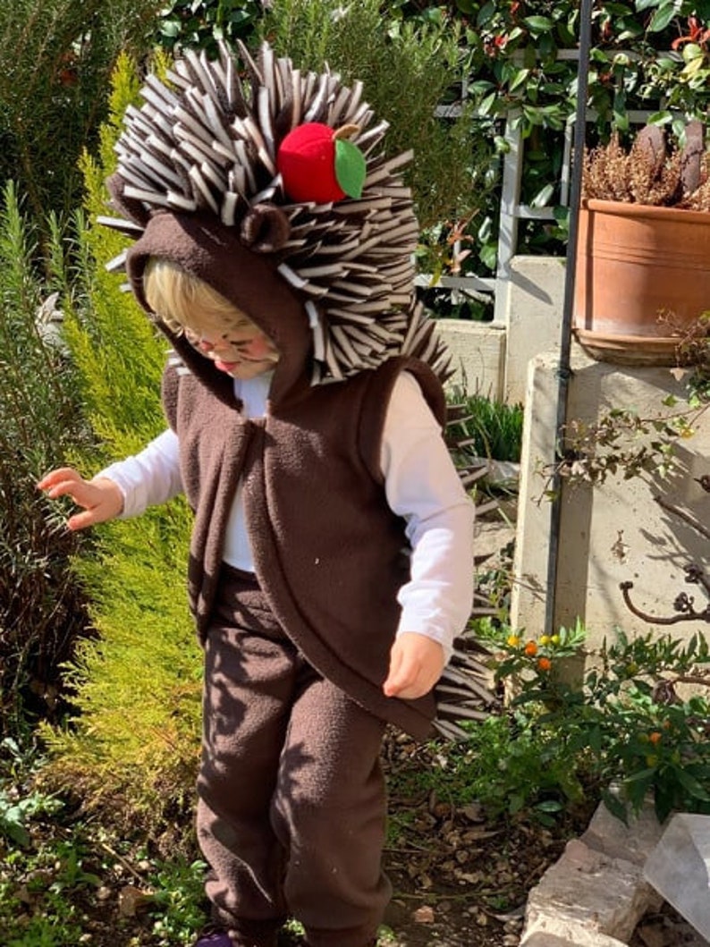 Hedgehog costume / Toddler Costume/ Kids Costume / hedgehog Etsy