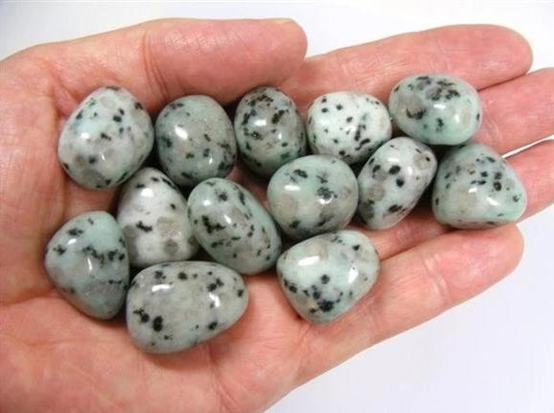 Amazon River Stone Sesame Jasper Metaphysical Healing Etsy