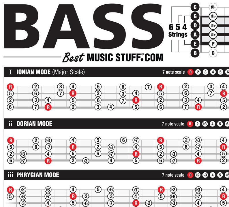Essential Bass Theory Chart Bass Reference Poster | Etsy
