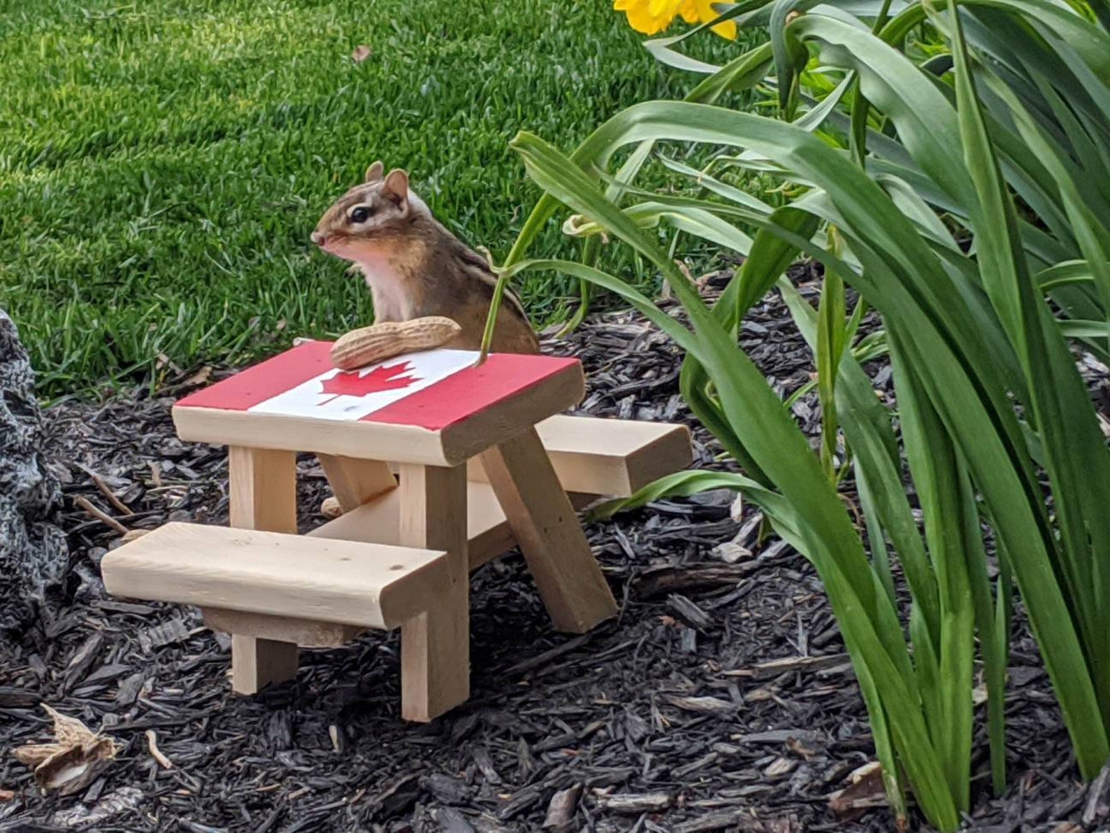 Mini Picnic Table for Chipmunks Squirrels and Birds Etsy