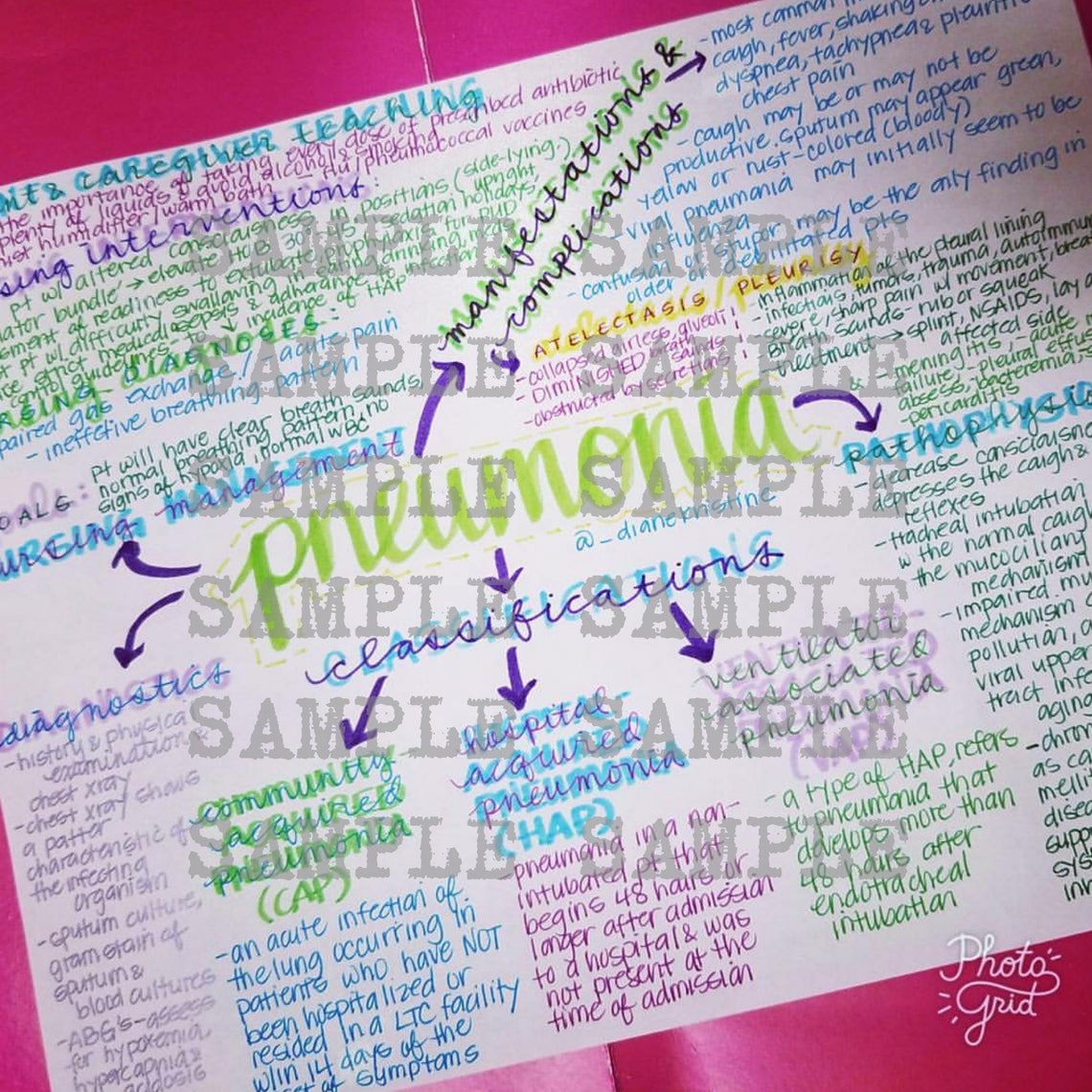 Pneumonia Nursing Notes/ Concept Map Medical Surgical  Etsy