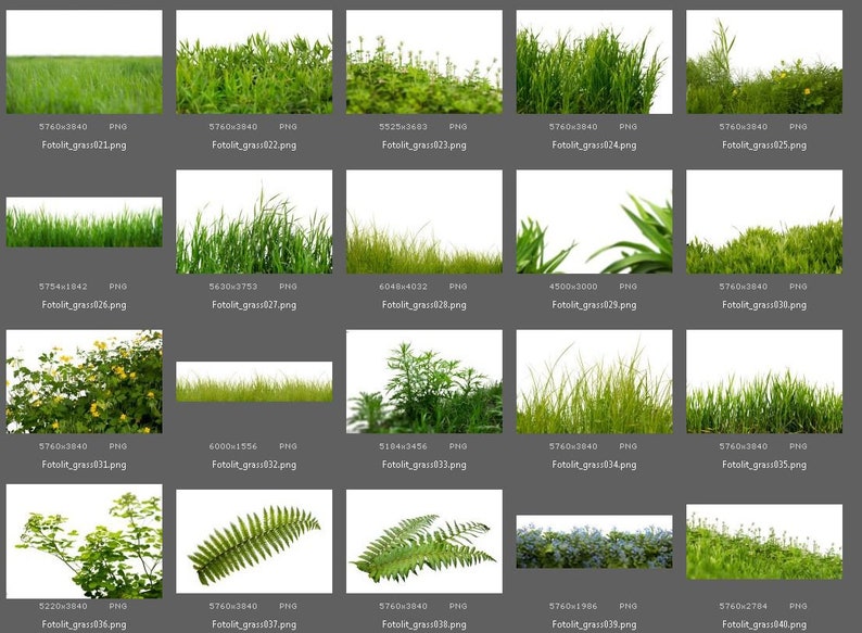 40 Grass Photo Overlays Photoshop Overlay Photo Prop Green Etsy