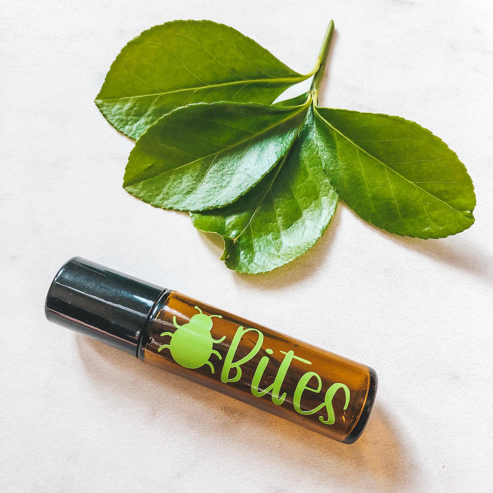 Bug spray label bug off label essential oil labels bug Etsy