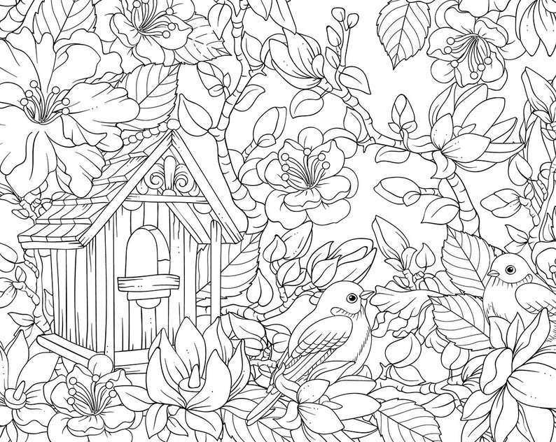 PDF JPEG Printable adult coloring page. Digital birds and | Etsy