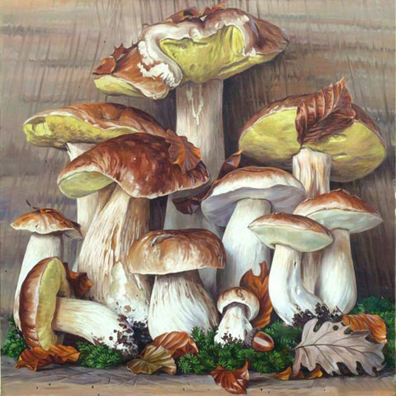 Diamond Painting Kit Mushroom still life Square Diamond Full | Etsy