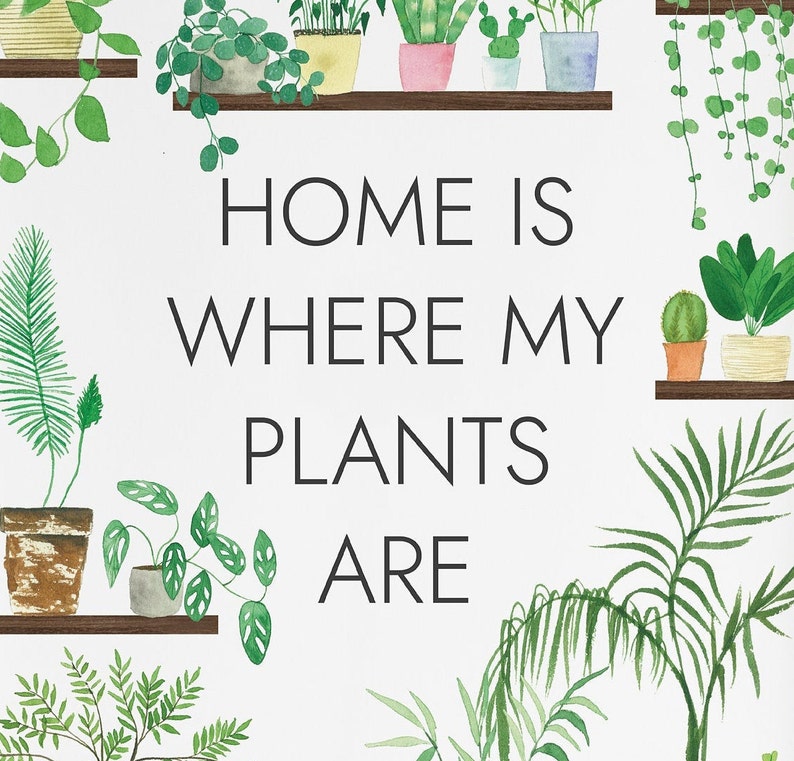 Home is Where My Plants Are Print Plant Poster Houseplant | Etsy