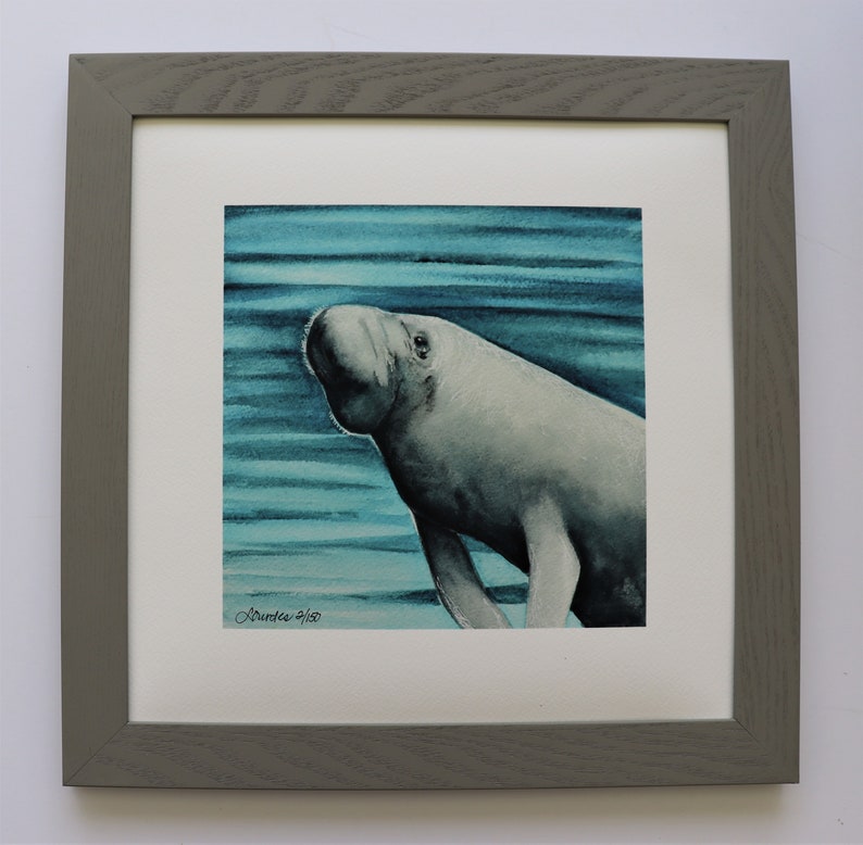 Manatee fine art print watercolor manatee painting marine | Etsy
