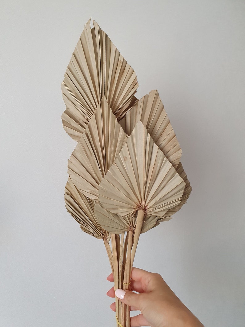 Dried Palm Leaves Dried Flowers Bunch of 60 Dried Palm Spears Palm Leaves