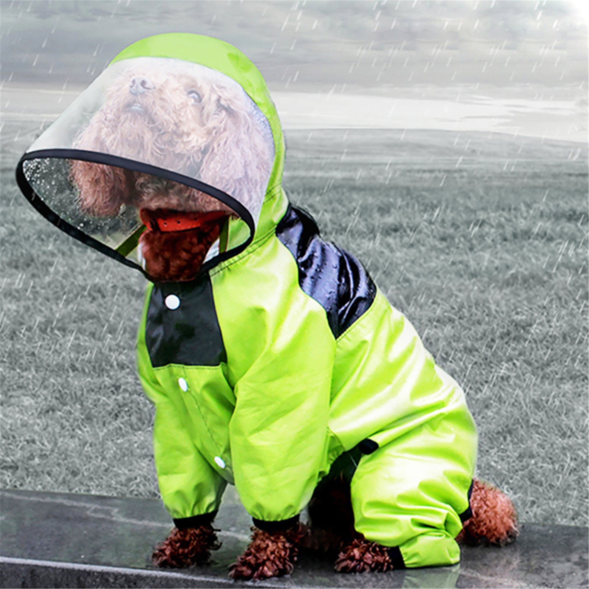 PETCUTE Hunde Regenmantel Mit Integriertem Geschirr - Wasserdicht & Praktisch Für Alle Größen