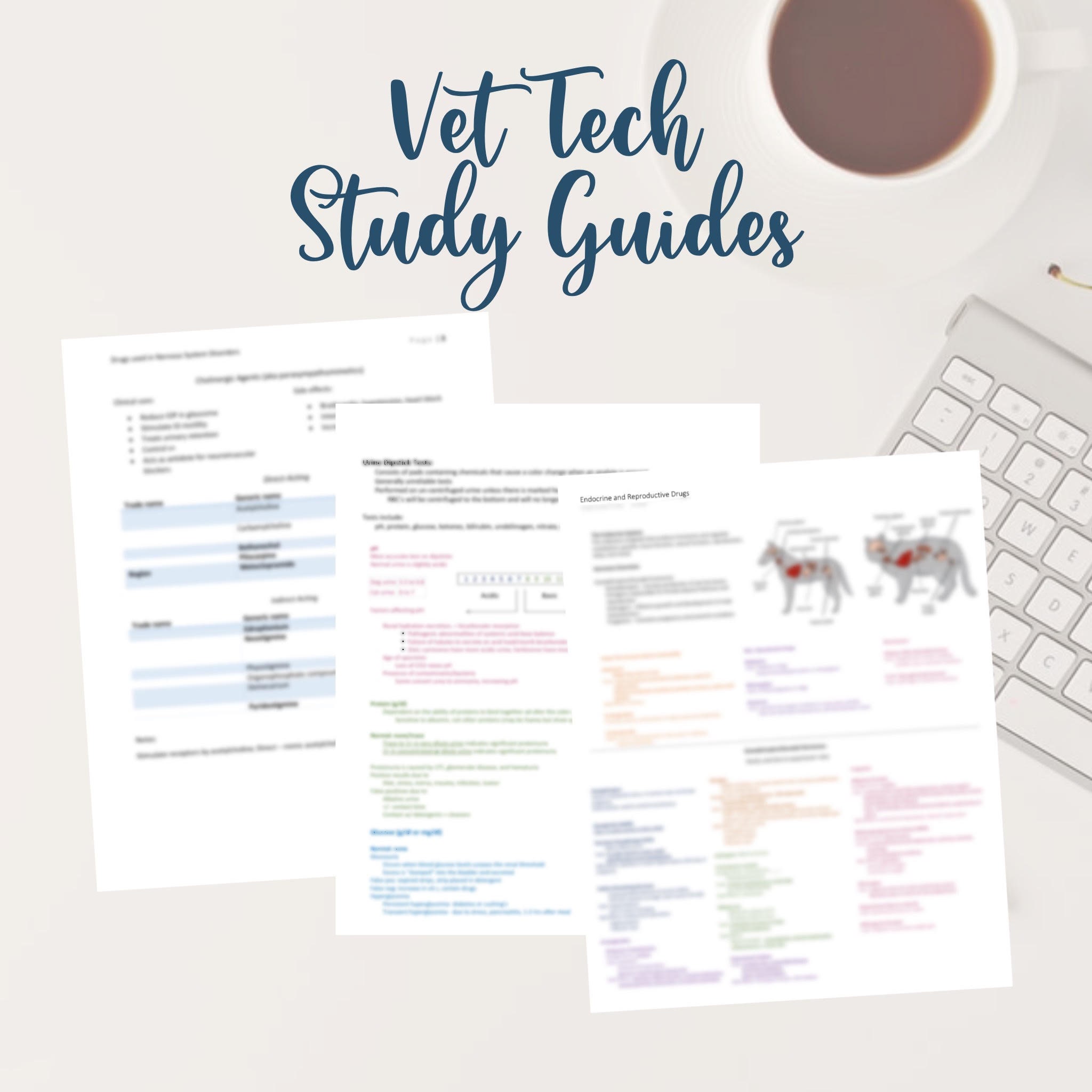 vtne study guide pdf