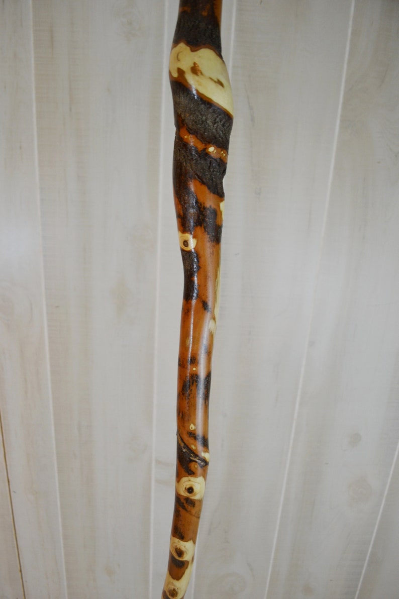 Natural Walking Stick Staff Heavy Strong Tree Etsy