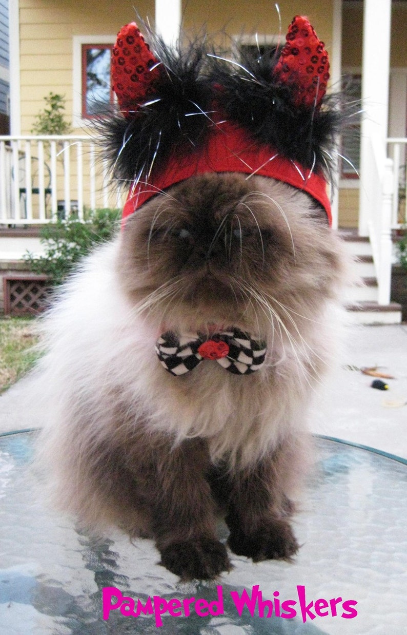 Little Devil costume for cats and dogs Etsy