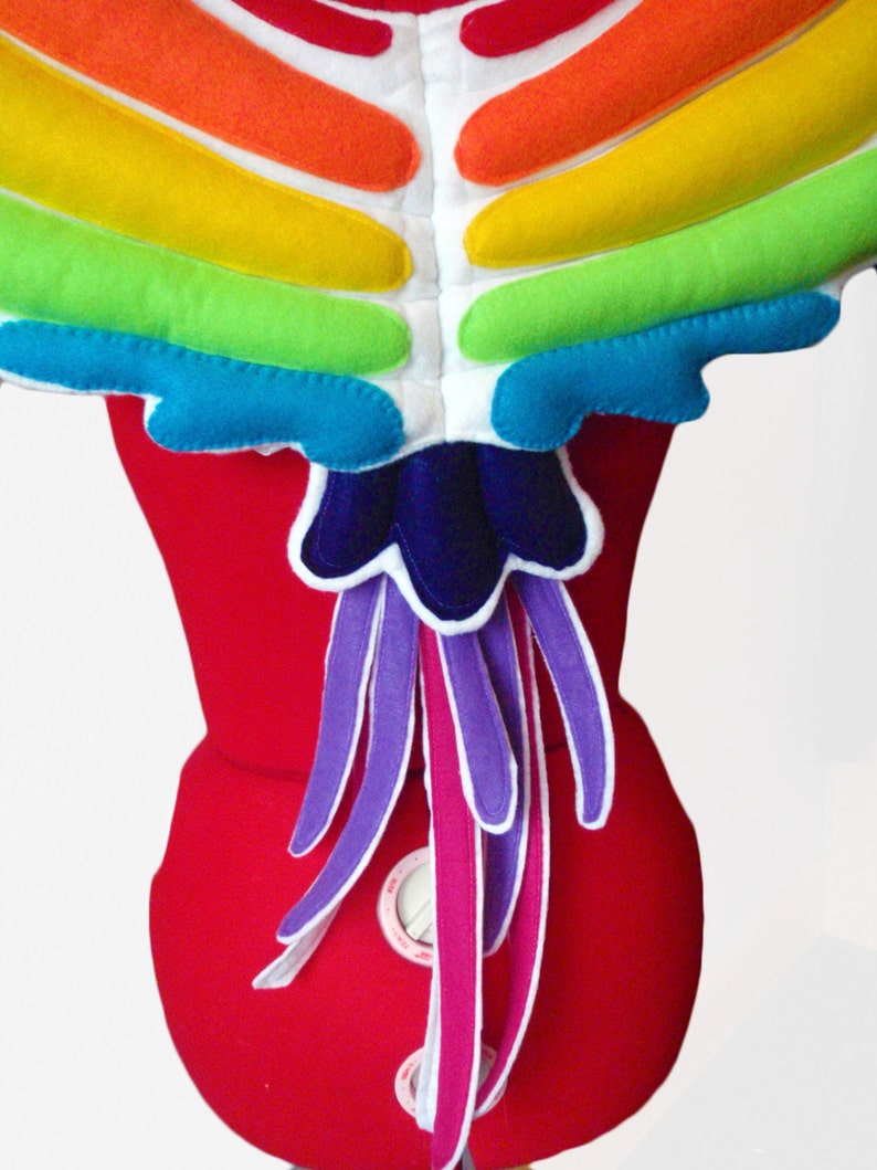 READY TO SHIP Rainbow Bird Wings Durable. Bright Color Parrot Phoenix