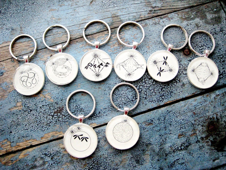 Early Prophase 1 Mitosis Cell Cycle Silver Keychain ...