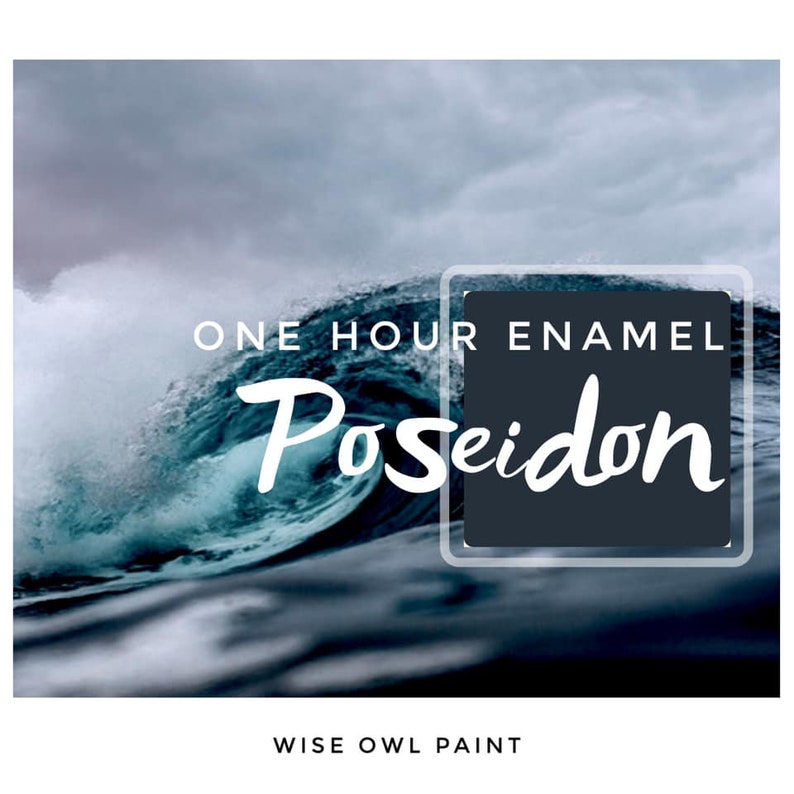 PoseidonWise Owl One Hour Enamel PaintQuart Etsy