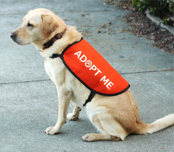 Adopt Me Dog Jacket Vest Etsy - adopting my very first pet in roblox