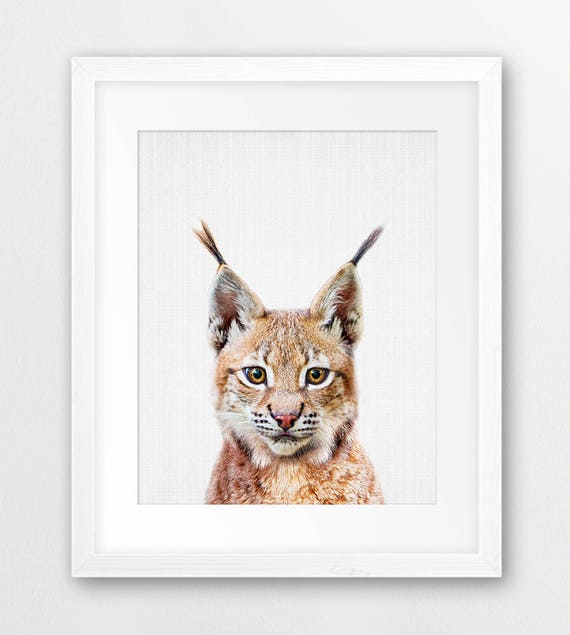 Bobcat Lynx Print Woodlands Animal Wall Art Nursery Decor Etsy