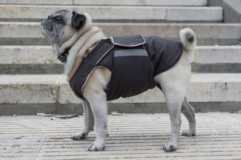Pug Winter Dog Coat Dog jacket with full belly cover Etsy