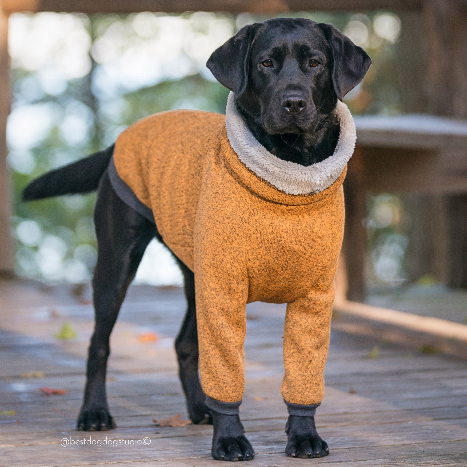 warm-dog-coat-dog-sweater-winter-coat-warm-dog-pajama-etsy