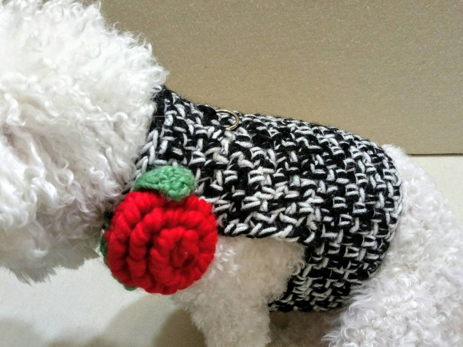 Crochet DOG harness Pets Harness Small dog harness with back Etsy