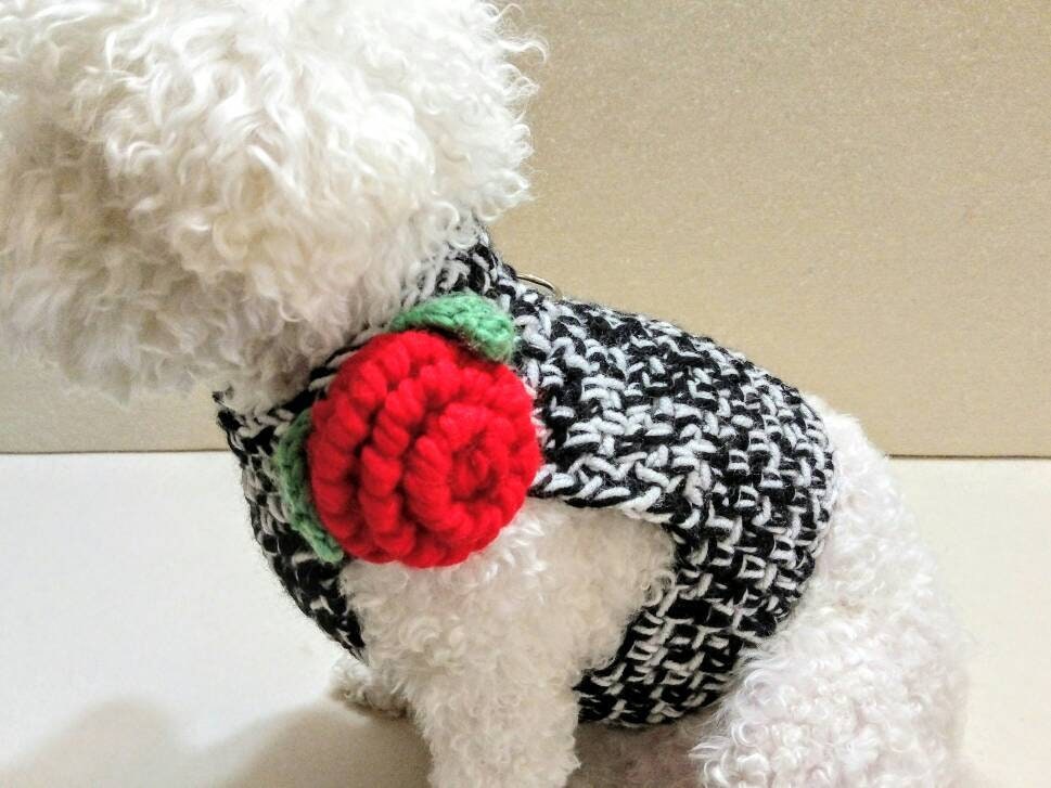 Crochet DOG harness Pets Harness Small dog harness with back Etsy