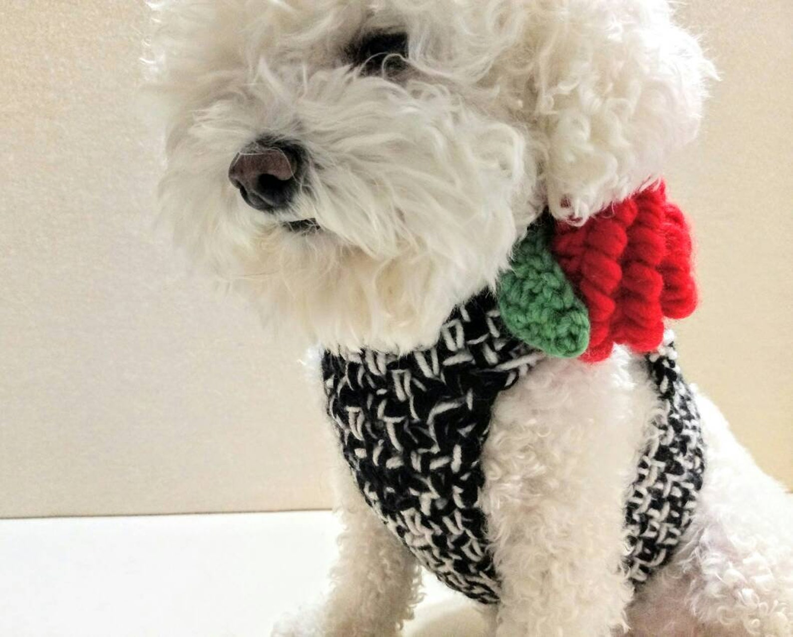 Crochet DOG harness Pets Harness Small dog harness with back Etsy